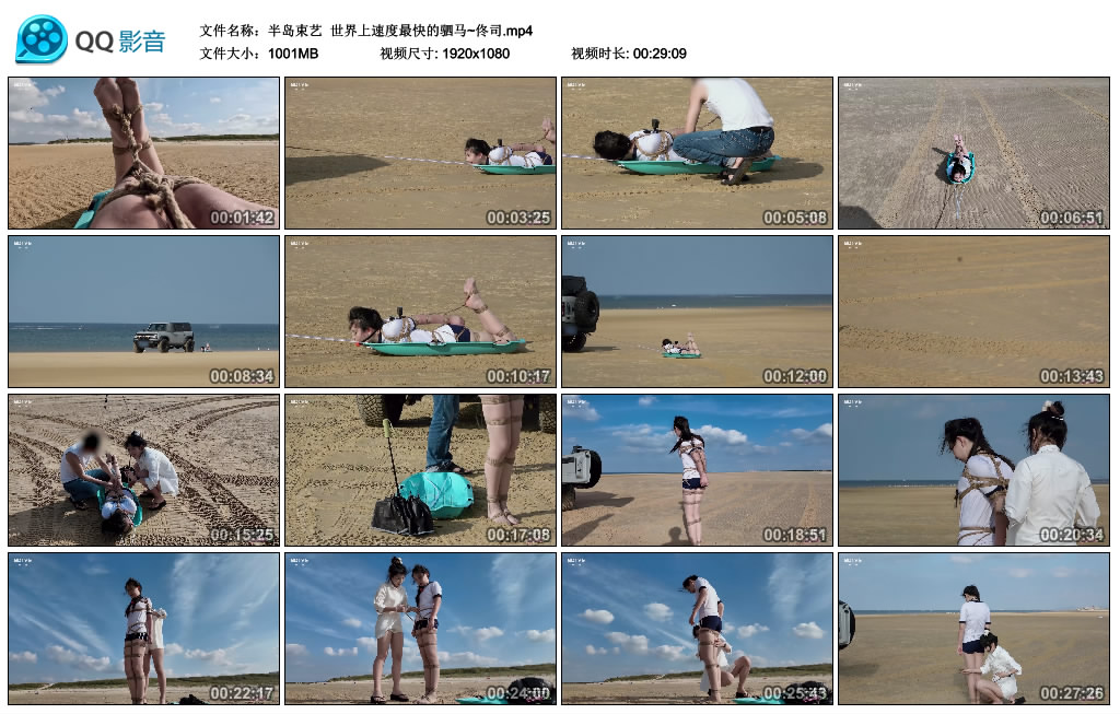 【半岛束艺】世界上速度最快的驷马~佟司_绳艺库视频下载