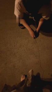 【酒神大人】威胁滴滴司机做狗 G-210806-5_绳艺库视频下载