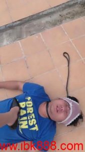 【宝爷】天台刺激遛狗/转胯/骑行/圣水 bf12140_绳艺库视频下载