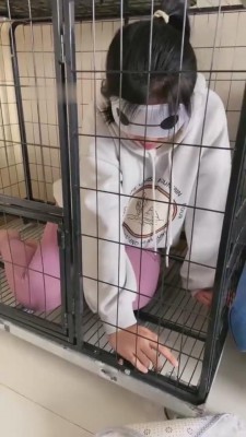 【蜜儿】狗笼里的女闺蜜 bf8274_绳艺库视频下载