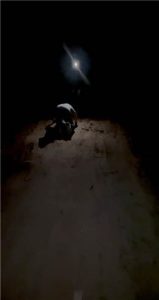 套路直播视频【KK】农村夜路惊遇猥琐男直接制服 JS23030105_绳艺库视频下载