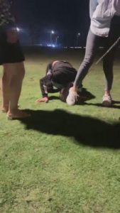 【莫妮卡】户外双s带素人闺蜜玩狗【三视角版】 bf8714_绳艺库视频下载