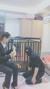 【依然】圈养的第一天 bf2875_绳艺库视频下载