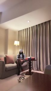 套路直播视频【妆主大大】真实开发员工做狗 bf24995_绳艺库视频下载