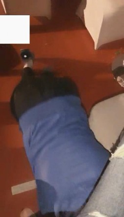 vivi,跨年夜车展遛狗_绳艺库视频下载