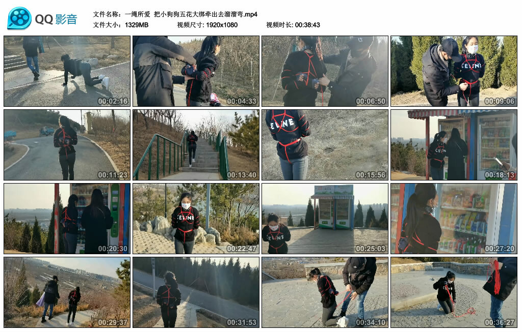 【一绳所爱】把小狗狗五花大绑牵出去溜溜弯_绳艺库视频下载