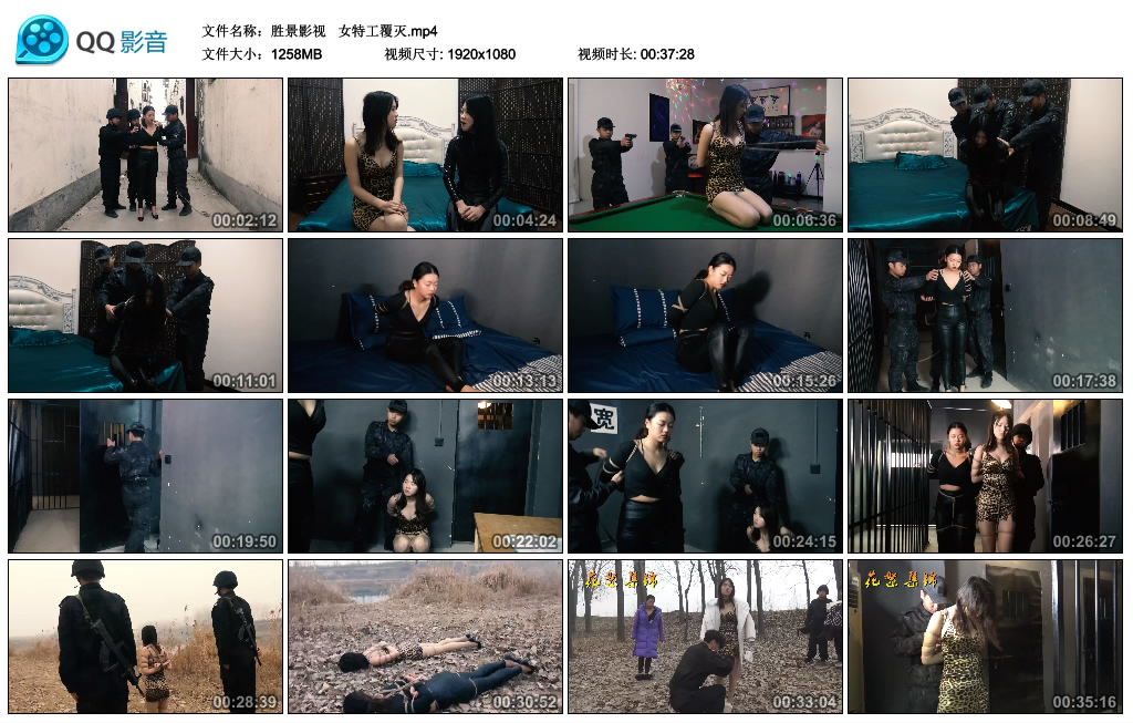 胜景影视 女特工覆灭_绳艺库视频下载