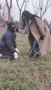 【嘟嘟】户外骑马调教 bf23523_绳艺库视频下载