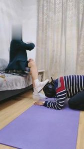 【艺术美学】学姐范-猫咪的奴下奴 bf5269_绳艺库视频下载