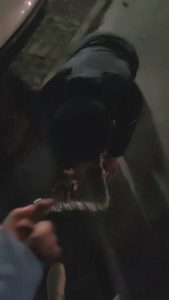 【嫦娥】深夜户外犬化-转胯爬行/长靴踩踏碾压 JS23040902_绳艺库视频下载