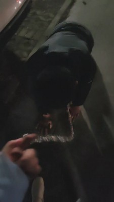 【嫦娥】深夜户外犬化-转胯爬行/长靴踩踏碾压 JS23040902_绳艺库视频下载