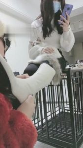 【时安】不听话的贱下场 bf4456_绳艺库视频下载