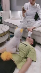 【沈阳妮可】一只被圈养的人形犬 bf12779_绳艺库视频下载