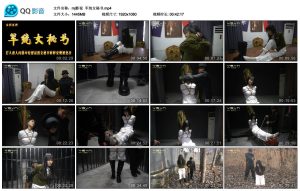 [MJ影视] 军统女秘书_绳艺库视频下载