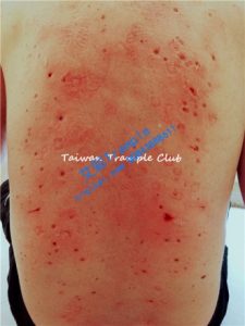 小紫多双高跟踩德国奴_绳艺库视频下载