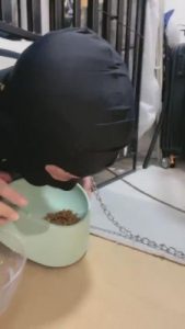 【樱桃大大】笼子里的家奴 bf16046_绳艺库视频下载