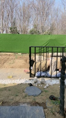 套路直播视频【沅芷大人】15小时囚禁后上刑/圣水/鞭打 bf25577_绳艺库视频下载