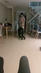 【小软】素人妹妹粉色棉袜辱狗 bf20151_绳艺库视频下载