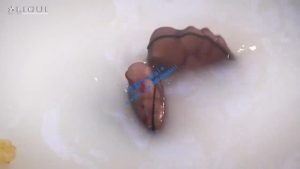 【推荐】性感女神浴缸黑丝美足POV调教_绳艺库视频下载