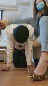 【六六】看我抓住偷窥狂以后 bf6402_绳艺库视频下载