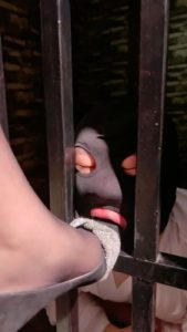 【莉莉丝】刑房囚禁狗狠抽逼供【双视角完整版】 bf22462_绳艺库视频下载