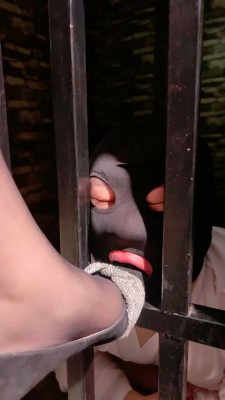 【莉莉丝】刑房囚禁狗狠抽逼供【双视角完整版】 bf22462_绳艺库视频下载