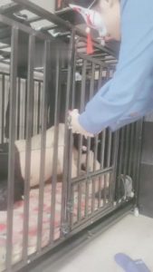 【千梦】我哥偷我袜子被逮住【下】 bf6530_绳艺库视频下载