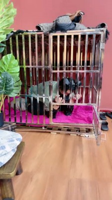 【小祖宗】圈养闺蜜辱骂羞辱 bf20191_绳艺库视频下载