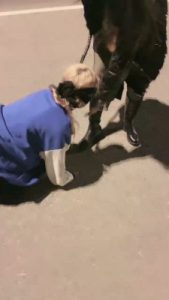 【洪兴十三妹】首次户外溜母狗【双视角版】 bf20234_绳艺库视频下载