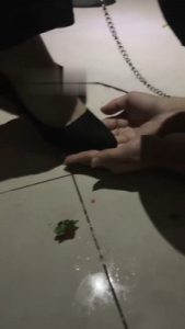 【伊妮S】开发素人做狗 bf22022_绳艺库视频下载