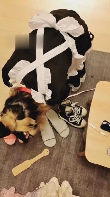 【女攻驾到】女仆装日常犯贱_绳艺库视频下载