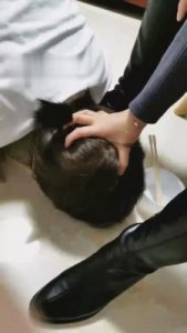 【微甜】骑士靴狠虐满奴性母狗 bf962_绳艺库视频下载