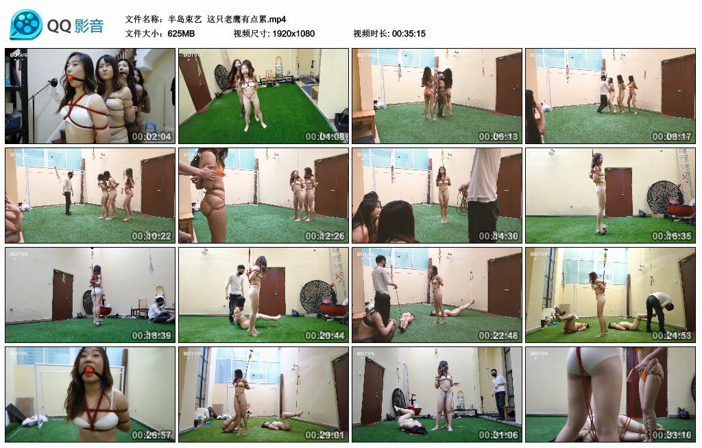 【半岛束艺】这只老鹰有点累_绳艺库视频下载