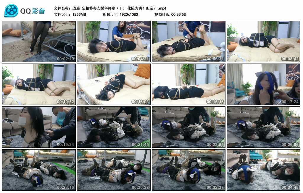 【逍遥】定拍特务支援科终章（下） 化险为夷！但是？_绳艺库视频下载