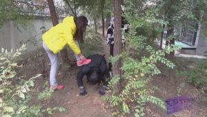 【品丝阁】女主晨练小区遛狗_绳艺库视频下载