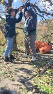 【简爱】户外袜子塞嘴虐打胖墩 bf19834_绳艺库视频下载