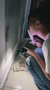 【乔宝】女神现场活捉打胶男 bf15486_绳艺库视频下载