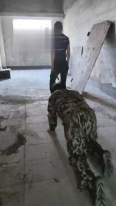 【妮可】废弃厂房的刑罚 bf17063_绳艺库视频下载