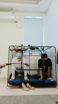 【安静大大】亲母女调两公狗【三视角超完整版】JS22102502_绳艺库视频下载