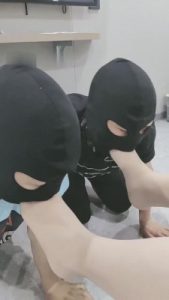 【心甜夫妻】双狗争宠现场 bf14404_绳艺库视频下载