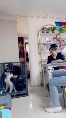 套路直播视频【二宝】真实-美甲店当着技师的面玩狗/关狗笼/强迫喝洗脚水 bf25638_绳艺库视频下载