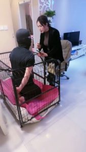 套路直播视频【傲雪】狗笼囚禁/木乃伊捆绑踩踏 bf25077_绳艺库视频下载