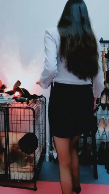 【云儿主】白领丝袜调狗笼圈养狗 bf2764_绳艺库视频下载