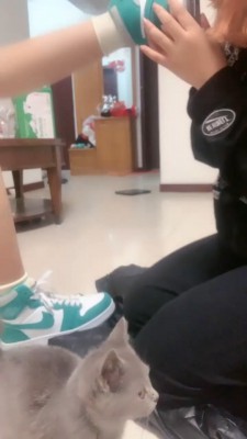 【全国最贱女M】双女奴舔脚专场【完整版】 bf20379_绳艺库视频下载