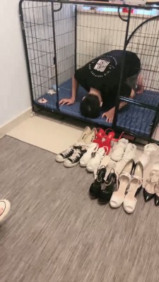 【安静大大】母女S耳光/踩踏/舔鞋【三视角版】 bf19913_绳艺库视频下载