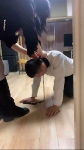 【coco】双奴争宠应聘专属狗狗职位 bf27389_绳艺库视频下载