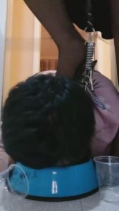 【傲雪】圈养奴卑微吃狗粮 G-210803-20_绳艺库视频下载