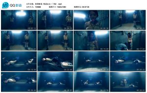 【胜景影视】特战出击（下集）_绳艺库视频下载