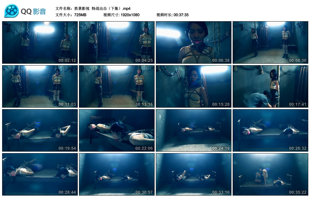 【胜景影视】特战出击（下集）_绳艺库视频下载