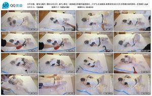 【鹿角与猫爪】塑封白丝女仆 抽气~挣扎！绝对真空绝闷_绳艺库视频下载